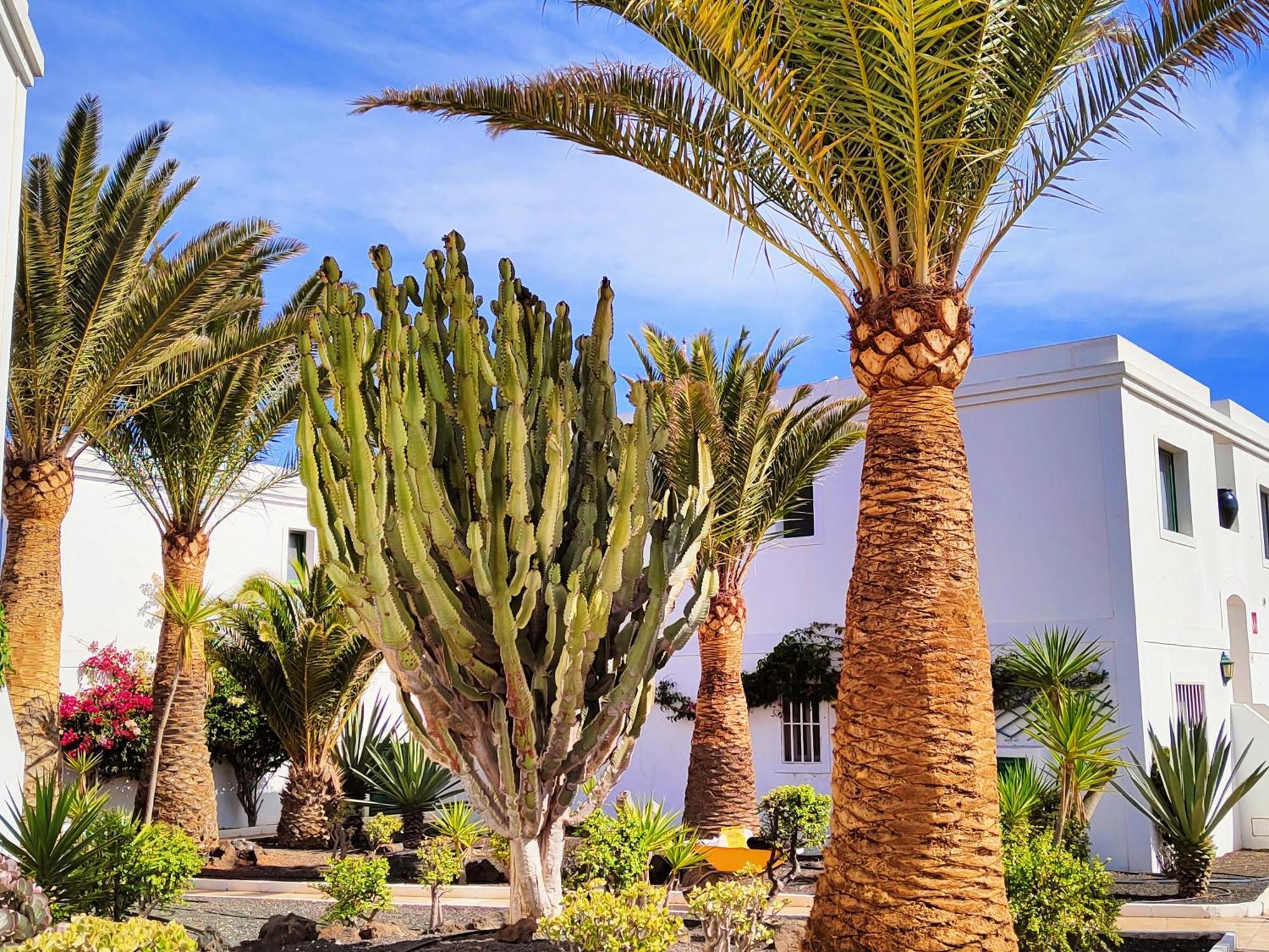 Flor De Las Dunas Pools Wifi Tennis Bikes For Free คอร์ราเลโฮ ภายนอก รูปภาพ